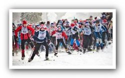 На "Лыжню России" в Ленобласти вышло 10 тысяч участников