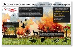 В Ленинградской области введено ограничение на посещение лесов
