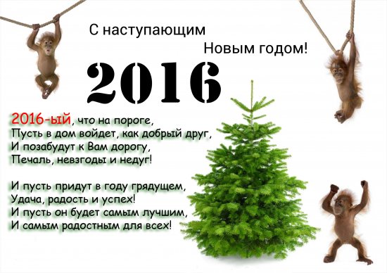 С Новым 2016 ГОДОМ!!!