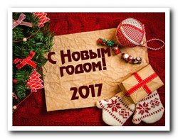 В Никольском отметят Новый год за 1,5 миллиона рублей